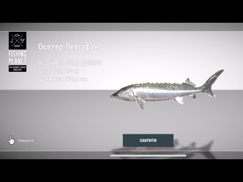 Видео: Осетр Левіафан. Sturgeon Leviathan. Дніпро. Dnipro River. Fishing Planet.