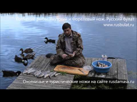 Видео: Копчение рыбы. Обзор ножей "Русский булат"