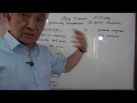 Видео: Физика  Терең 11 сынып  №67 сабақ  Бор теориясының қиындықтары  Де Бройль толқыны,