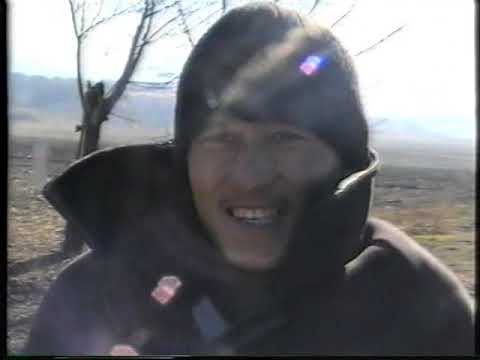 Видео: юкос 2005