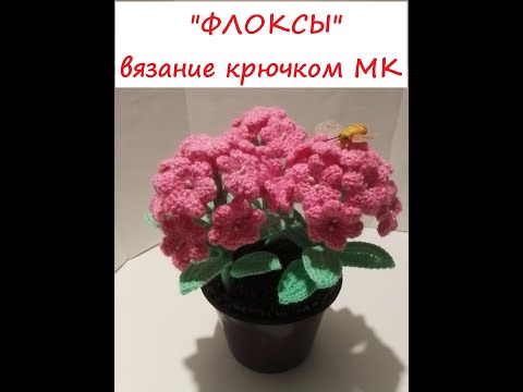 Видео: МК "ФЛОКСЫ" вязание крючком