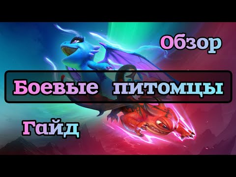 Видео: Call of Dragons: Боевые Питомцы, Обзор Гайд