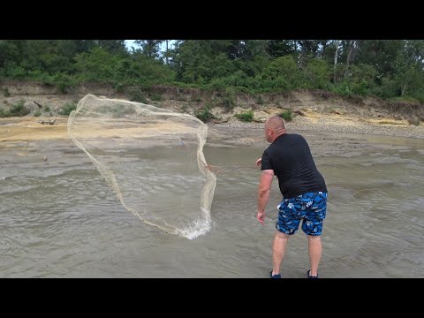 Видео: Первый ТРОФЕЙНЫЙ УСАЧ в сезоне . Рыбалка КАСТИНГОВОЙ сетью в ПРОТОКАХ.