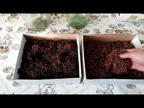 Видео: И снова поджарка табака,