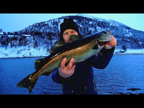 Видео: РАСПАКОВКА НОВЫХ ПРИМАНОК, И сразу РАЗЛОВИЛ!! рыбалка в Норвегии с берега. Рыбалка 2024.