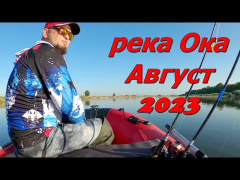 Видео: Рыбалка на Оке в августе 2023. Часть первая