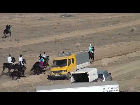 Видео: Чон жорго