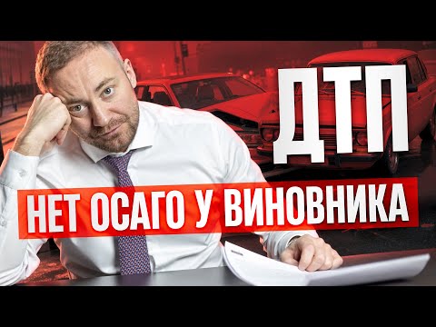 Видео: ЧТО ДЕЛАТЬ ЕСЛИ У ВИНОВНИКА ДТП НЕТ ПОЛИСА ОСАГО
