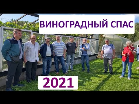 Видео: Виноградный Спас 2021 или юбилейная пятая встреча Подмосковных виноградарей М-8