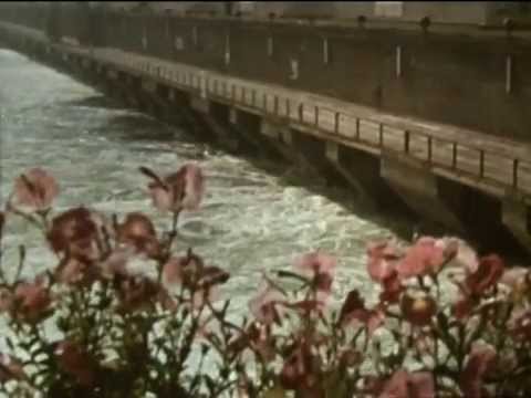 Видео: «Братск — город молодости» (1970 год)