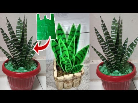 Видео: Как сделать растение Сансевиерия из полиэтиленового пакета | ремесленные идеи