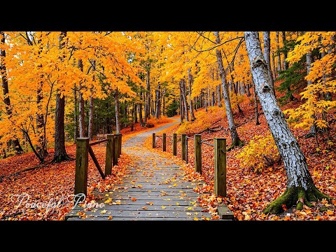 Видео: Красивая расслабляющая музыка 🍁 Перестаньте слишком много думать, музыка для снятия стресса с осенн