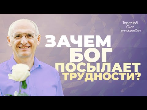 Видео: Почему Бог посылает нам трудности? (Торсунов О. Г.)