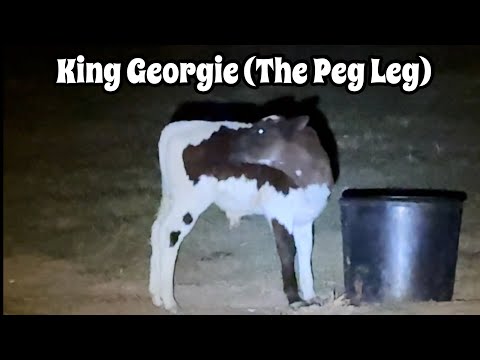 Видео: Король Джорджи Деревянная Нога был заброшен!