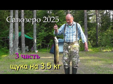 Видео: #3 Савозеро 2025 / 3 часть / за лещом и щукой на 5 дней в июле