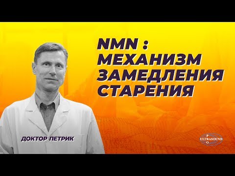 Видео: NMN: механизмы замедления старения.