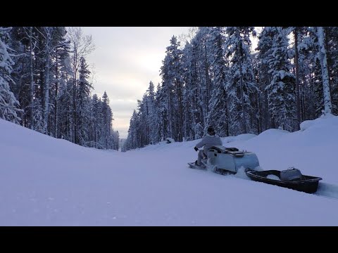 Видео: Пробиваюсь к избушке на толкаче. Получил в глаз. Поиск свежих следов.