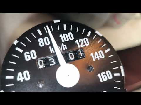 Видео: 12 мая 2025 г.