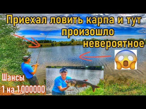 Видео: ТРОФЕЙНЫЙ ТОЛСТОЛОБИК СЛОМАЛ И УТАЩИЛ УДОЧКУ/ РЫБАЛКА НА ПРУДУ