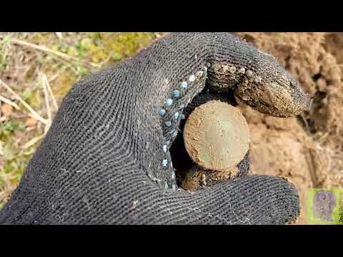 Видео: Equinox vs Deus2: Сравнение сигналов и глубины