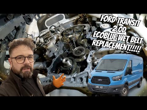 Видео: Замена ремня ГРМ Ford Transit 2.0d ecoblue на пробеге 108 тыс. миль вместо 144 тыс. миль. Ранняя ...