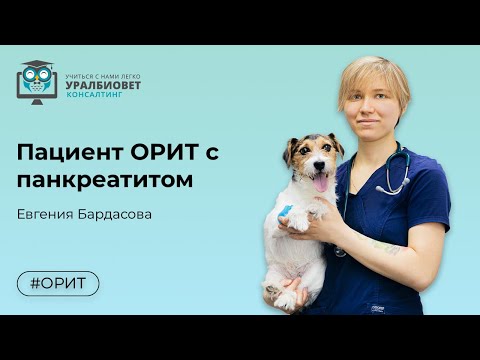 Видео: Пациент ОРИТ с панкреатитом, лектор Бардасова Евгения Алексеевна