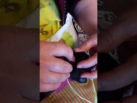 Видео: Кормление щенка с волчьей пастью.