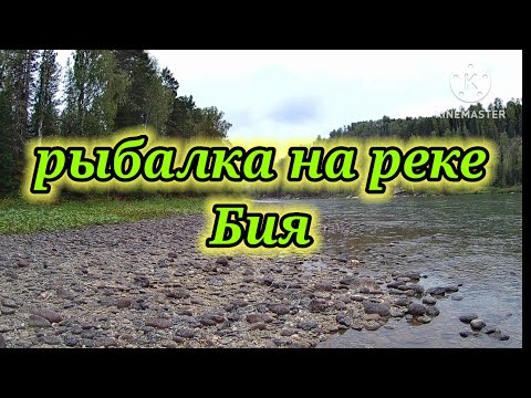 Видео: Рыбалка на реке Бия 👆