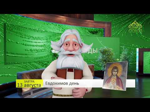 Видео: Прогноз погоды. 13 августа 2019