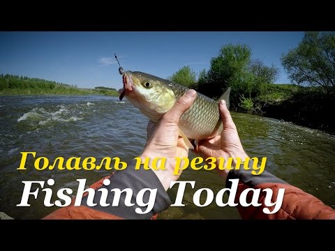 Видео: Голавль на резину. Тактика ловли в течение дня. Приманки - Fishing Today