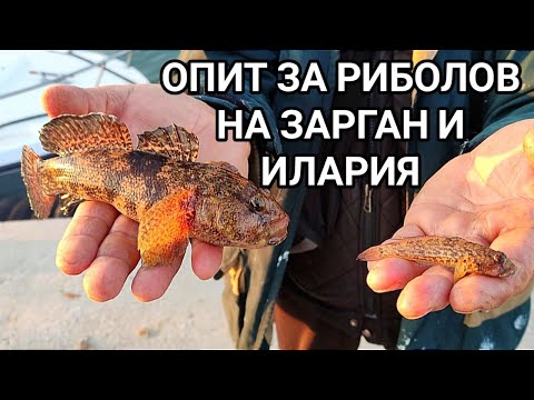 Видео: КОМБИНИРАН РИБОЛОВ НА БУНАТА НА ЕВКСИНОГРАД! ЛОШ СЕВЕРЕН ВЯТЪР И НИТО ЕДНА ЗАРГАНА! ПОПЧЕТА ХВАНАХМЕ