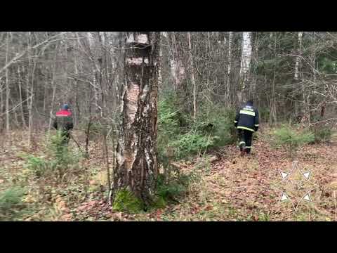 Видео: В лесном массиве в Бешенковичском районе потерялись две женщины
