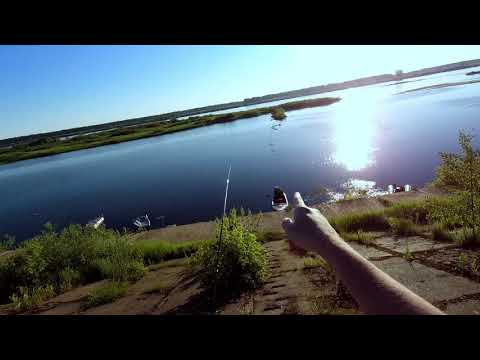 Видео: Спиннинг в Нижнем. Черта города. Сети, окуни и бобёр!