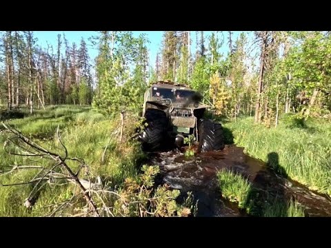 Видео: Едем на рыбалку. Таёжное озеро. Первые РЫБИНЫ.