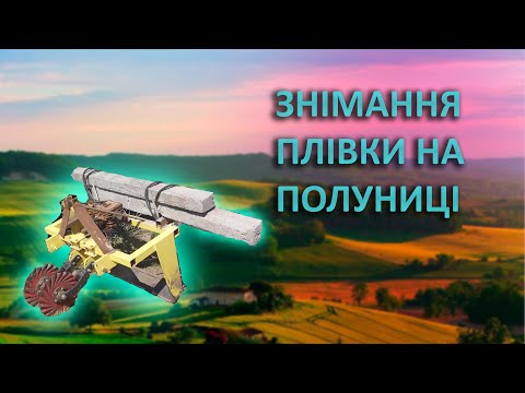 Видео: Як я знімав плівку на полуниці у 2022 році