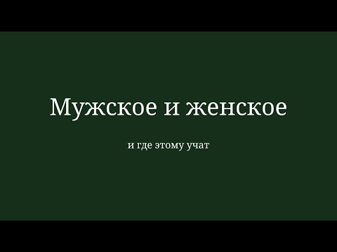 Видео: Мужское и женское, и где этому учат. Беседа со Станиславом Фальковичем