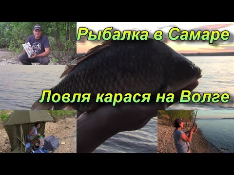 Видео: Рыбалка в Самаре. Ловля карася на Волге. Семейная рыбалка