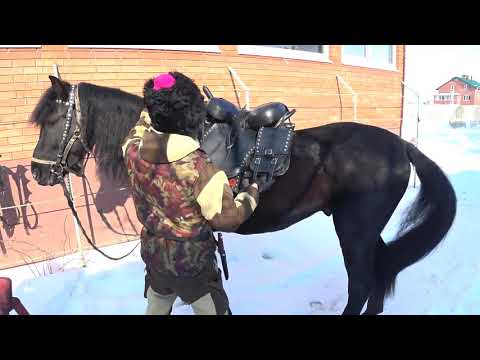 Видео: "Седло для охоты. Казачьего типа" Полный обзор.