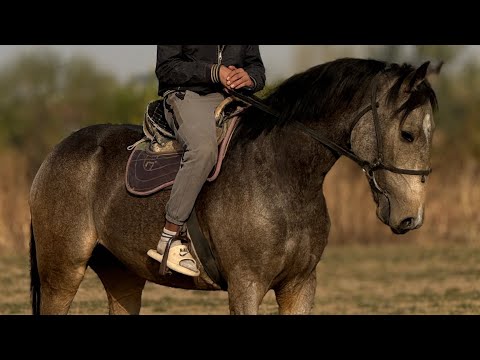 Видео: 2 ЖАШ КҮЧТҮҮ КУНАН  ЧЫКТЫ 🤯 #байтв 