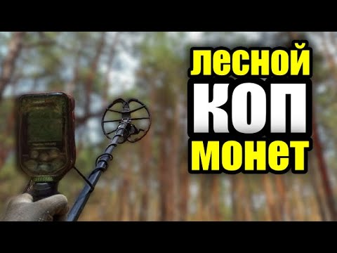 Видео: Simplex plus и МОНЕТНАЯ дорога.