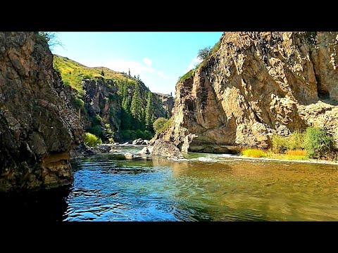 Видео: Природа Казахстана новое супер место