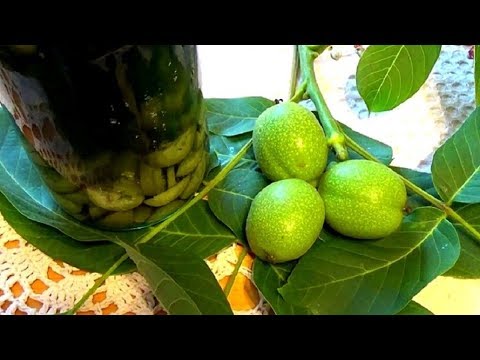 Видео: Как делать настойку из зеленых грецких орехов и зачем она вообще нужна