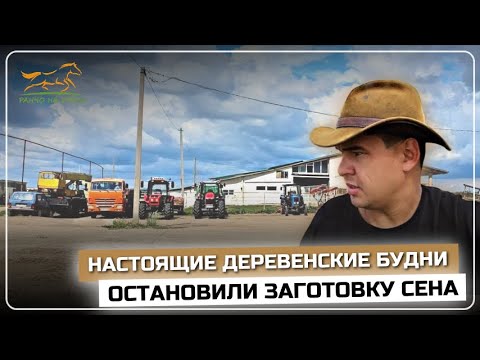 Видео: Будни на селе | Решили перенести баню на пруд | Приехали подписчики с Казахстана