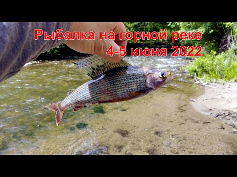 Видео: Рыбалка на хариуса в верховьях маленькой горной реки. 4-5 июня 2022 года.