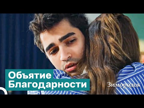 Видео: Нет Ничего Лучше, Чем Помириться После Серьезной Ссоры! | Зимородок