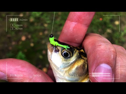 Видео: Забудь о бесклёвье! 11lures Chikki