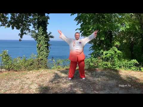Видео: Комплекс Оздоровительного Цигун "Да Ву" (Великий танец) у самого Черного моря.