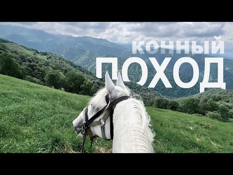 Видео: Как лошадь влияет на характер | большой поход | Александр Обжерин