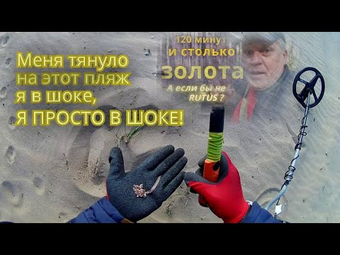 Видео: Мне дали два часа на поиск золота! RUTUS ALTER 71 - к хорошему быстро привыкаешь!