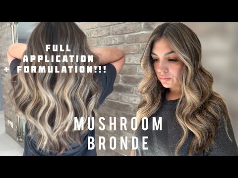 Видео: FOILAYAGE | Грибная бронза | Полное нанесение + формула